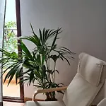 Apartment Coolivingc