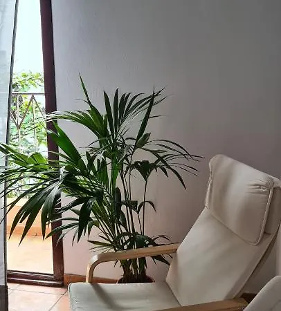Lägenhet Coolivingc